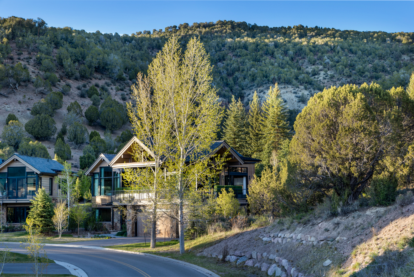 Residence framed by aspens at golden hour